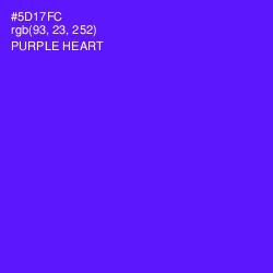#5D17FC - Purple Heart Color Image